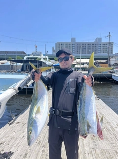 メジロの釣果