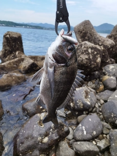 釣果