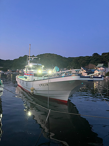 マアジの釣果