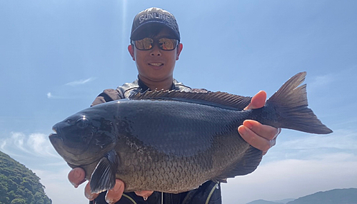 クチブトグレの釣果