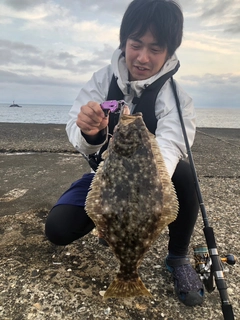 ヒラメの釣果