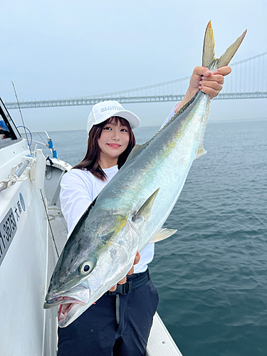 ブリの釣果