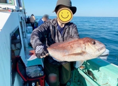 マダイの釣果