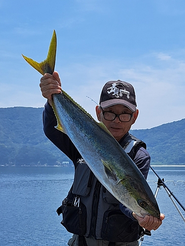 ブリの釣果