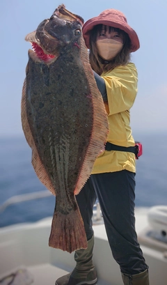 ヒラメの釣果