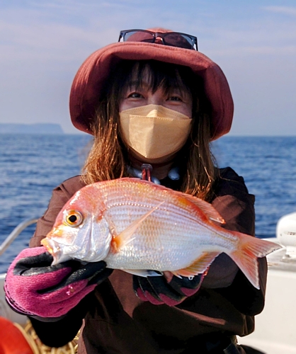 レンコダイの釣果