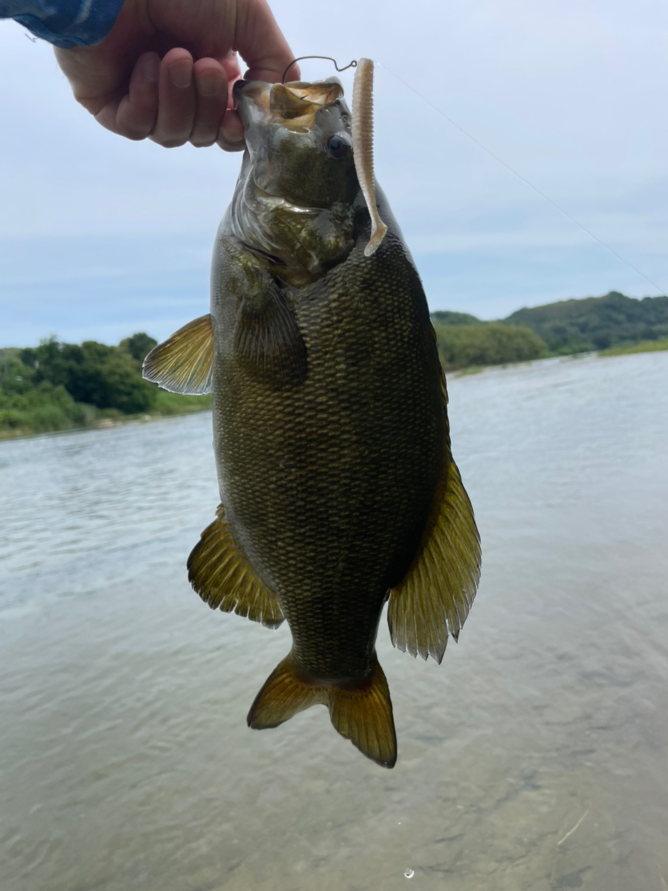 スモールマウスバス