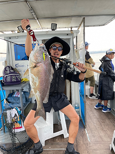 コロダイの釣果