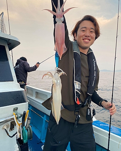 ケンサキイカの釣果