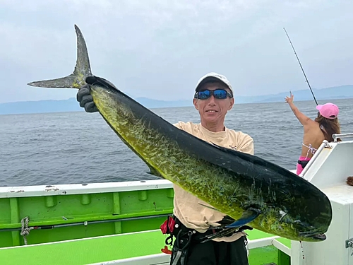 シイラの釣果