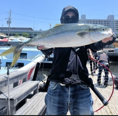 メジロの釣果