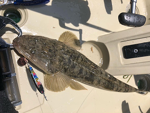 アマゴの釣果