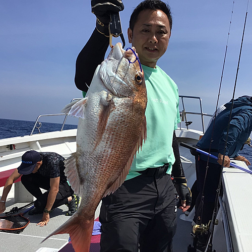 マダイの釣果