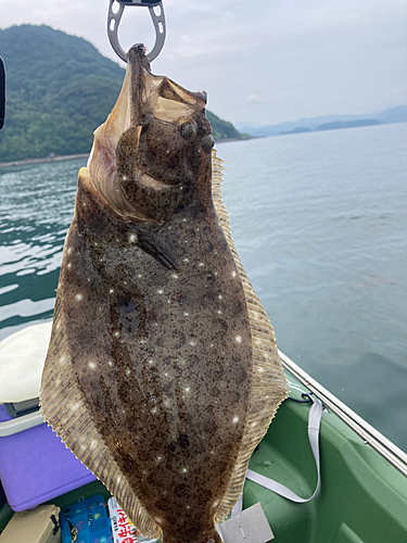 ソゲの釣果