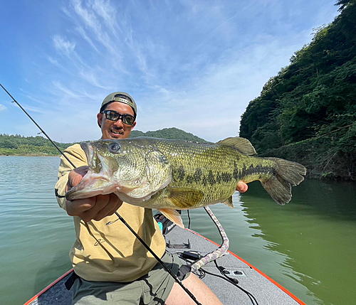 ブラックバスの釣果