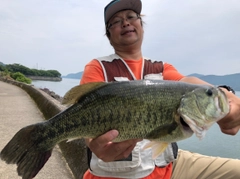 ブラックバスの釣果