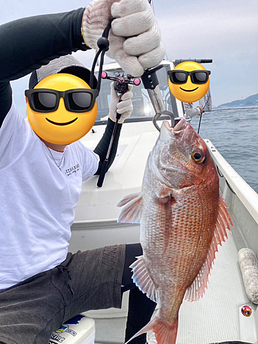 タイの釣果