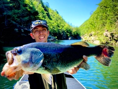 ブラックバスの釣果