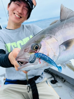 カンパチの釣果