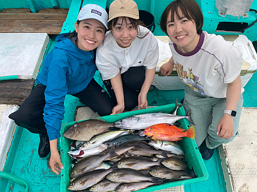 イサキの釣果