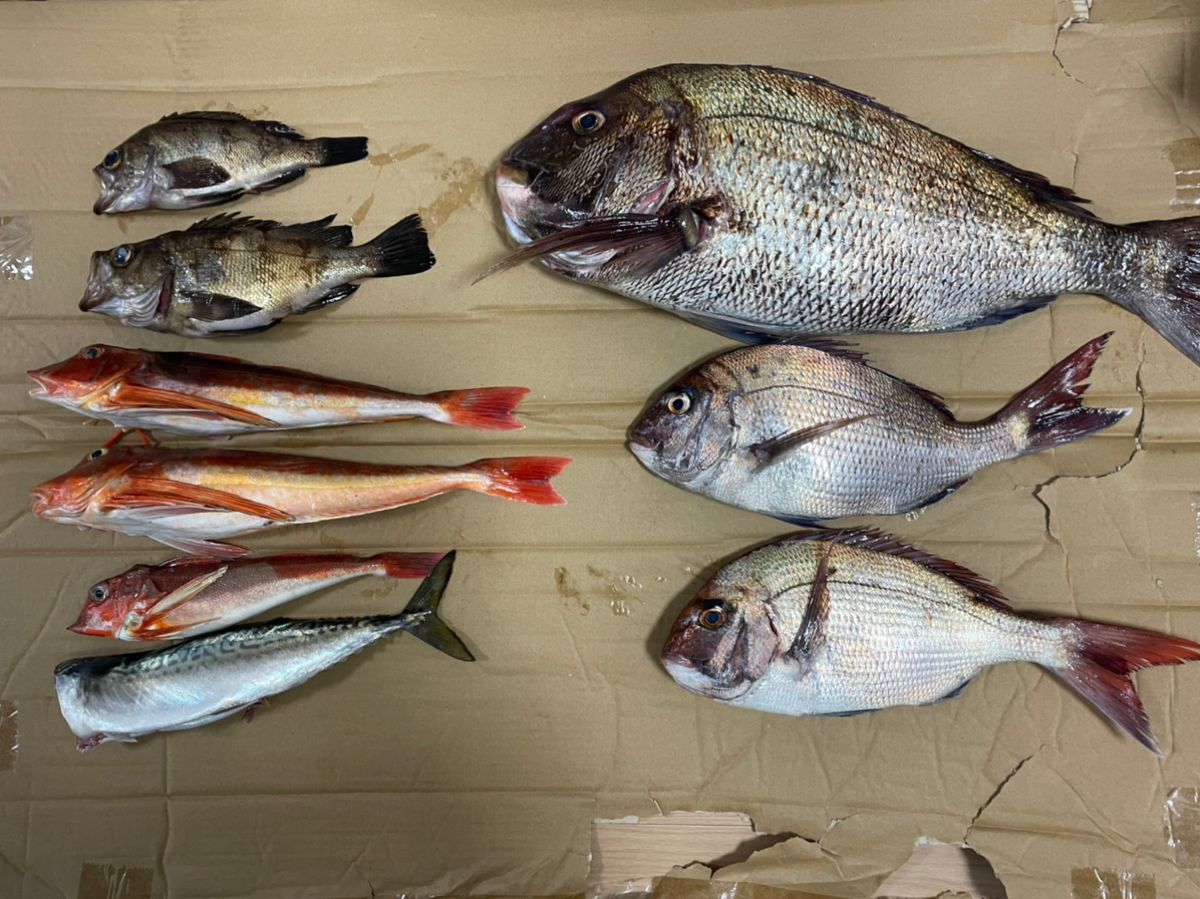 ラーメンアングラー　きよ🍜🎣さんの釣果 1枚目の画像