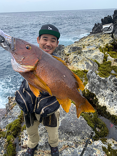 シブダイの釣果