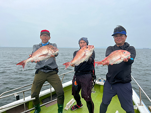 マダイの釣果