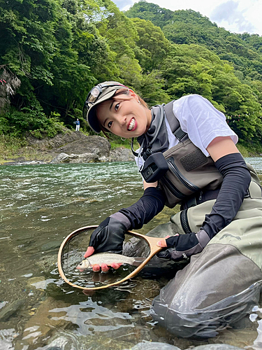 ウグイの釣果