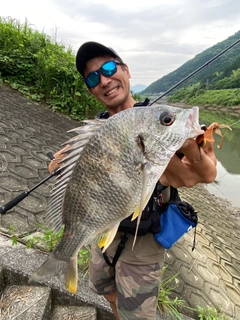 キチヌの釣果