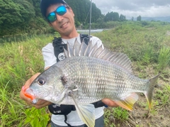 キチヌの釣果