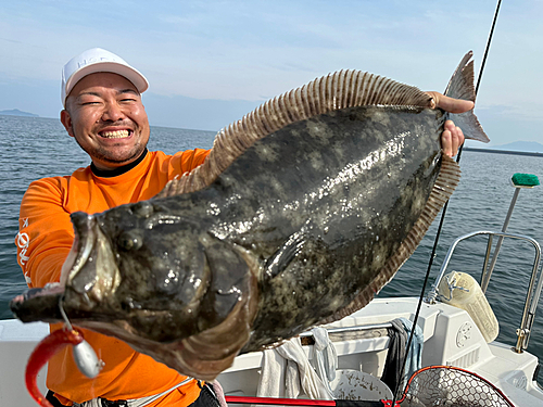 ヒラメの釣果