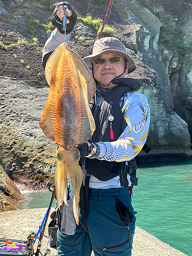 アオリイカの釣果