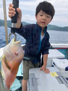 イラの釣果