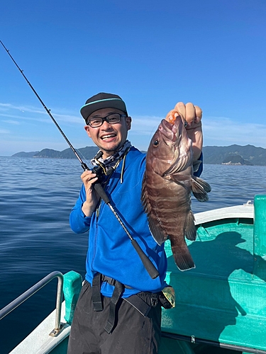 マハタの釣果