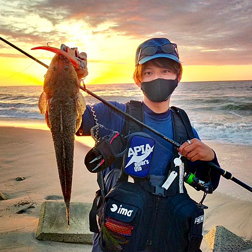 マゴチの釣果