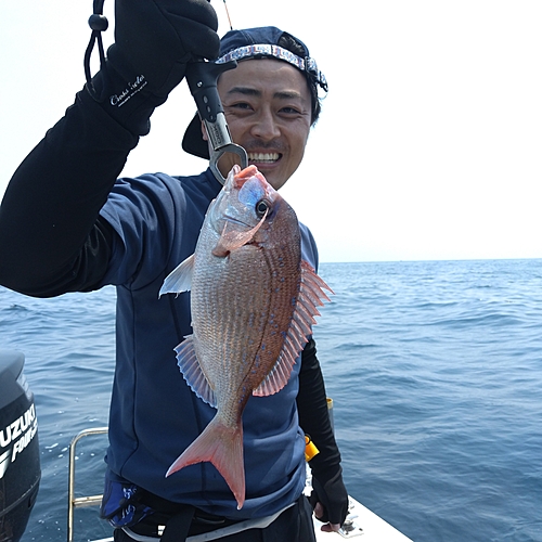 ハナダイの釣果