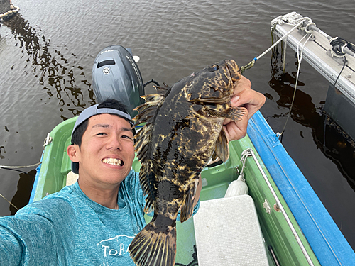 タケノコメバルの釣果