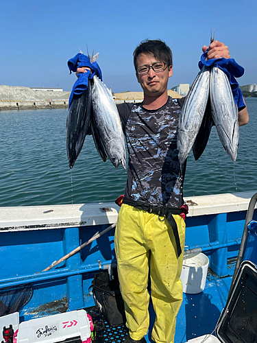 カツオの釣果