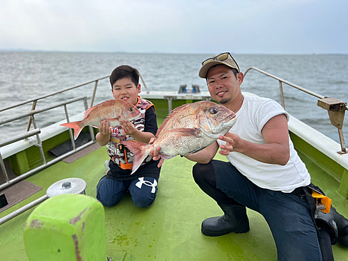 マダイの釣果