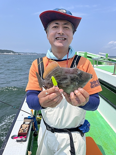 カワハギの釣果