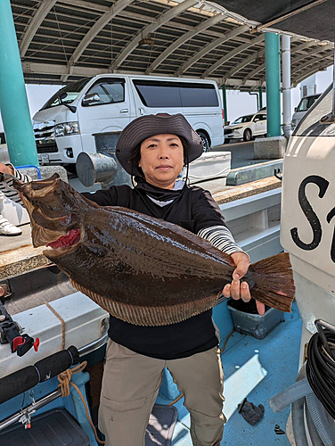 ヒラメの釣果