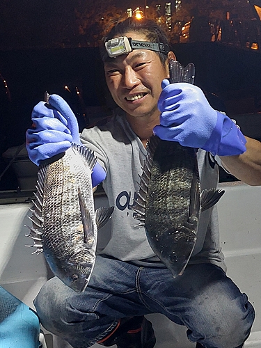 クロダイの釣果