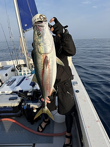 ブリの釣果