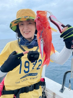 オジロバラハタの釣果