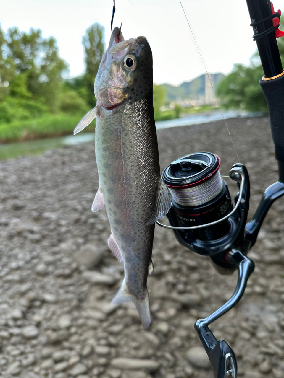 DAIWA 20リベリオン（センターカット2ピース スピニングモデル
