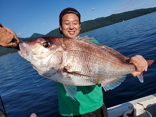 マダイの釣果