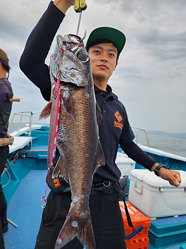 クロムツの釣果