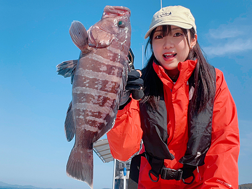 マハタの釣果