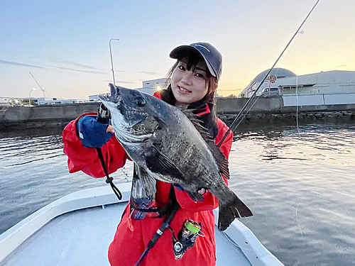 チヌの釣果