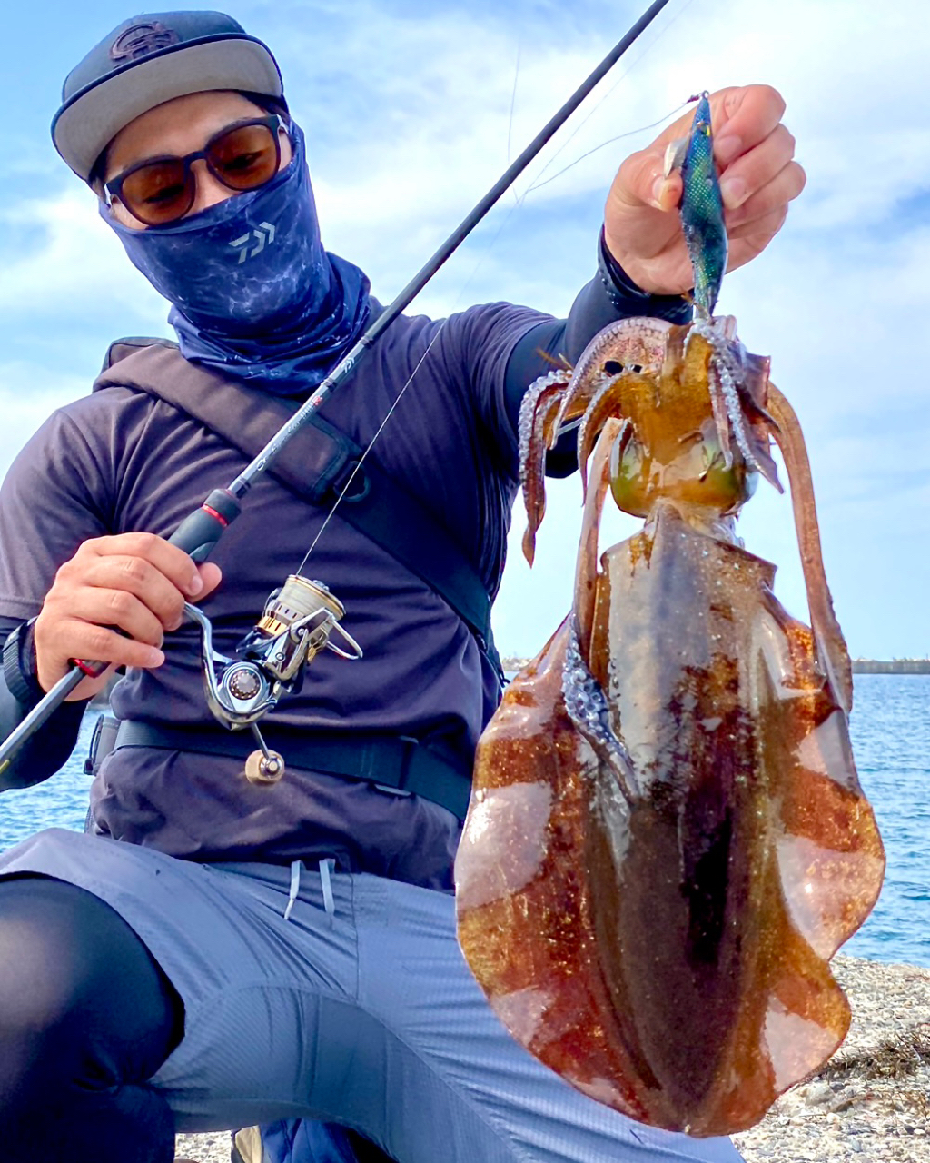 福井県産 アオリイカ21杯 3.9キロ 9/27釣行 - 魚介類